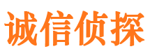 常德私家调查公司